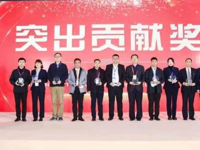 金迪魅力綻放，榮獲“突出貢獻獎”
